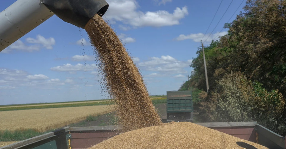 Продовольча організація ООН наголосила на необхідності поновлення "зернової угоди" для виходу зі світової кризи